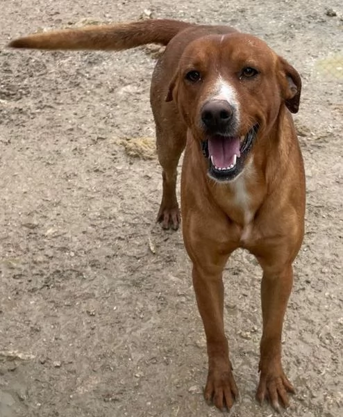 L'ADORABILE CORFU' | Foto 1