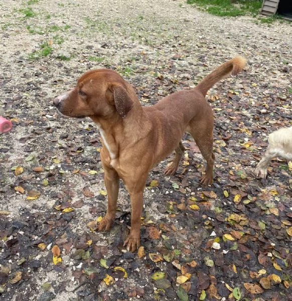 L'ADORABILE CORFU' | Foto 0