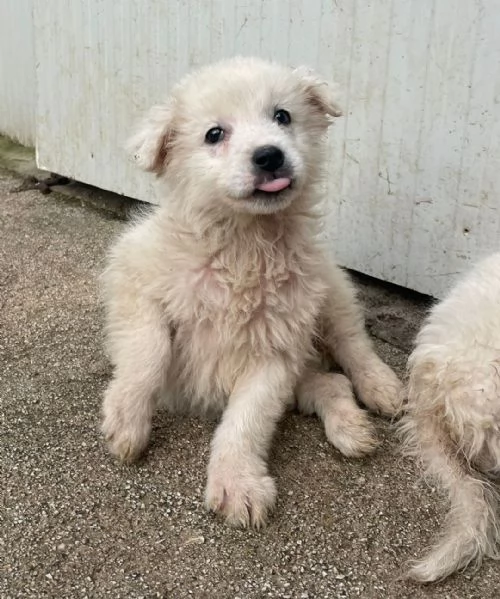 DUE TENERE SORELLINE