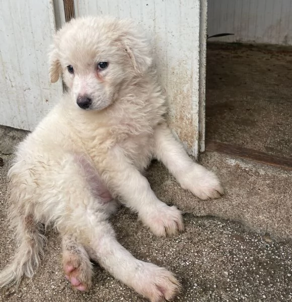 DUE TENERE SORELLINE | Foto 4