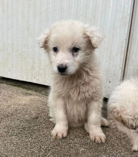 DUE TENERE SORELLINE | Foto 2