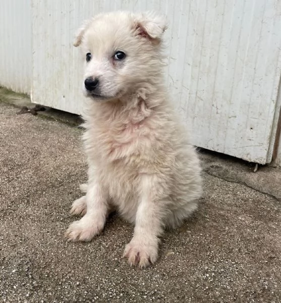 DUE TENERE SORELLINE | Foto 0