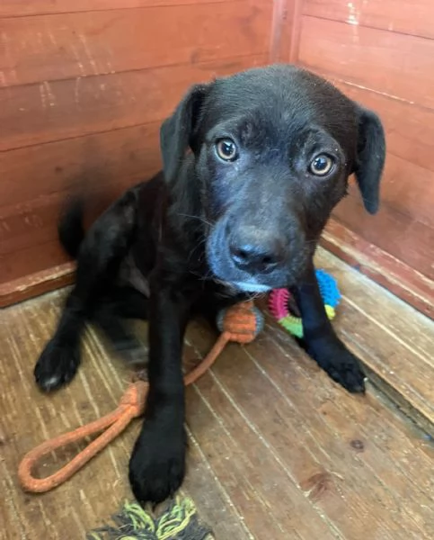 IL TENERO OLIVER | Foto 11