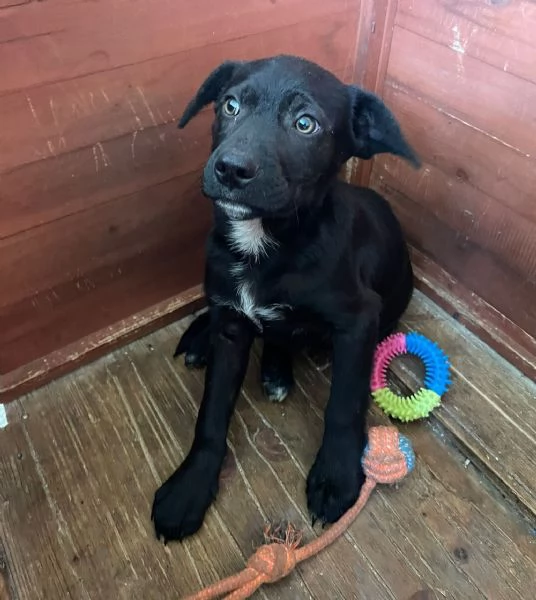 IL TENERO OLIVER | Foto 4