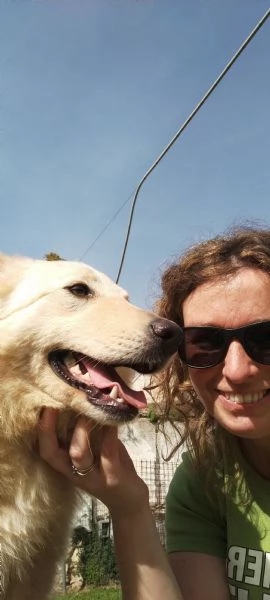 Lili cagnolina bellissima ad Albenga di 1 anno  | Foto 3
