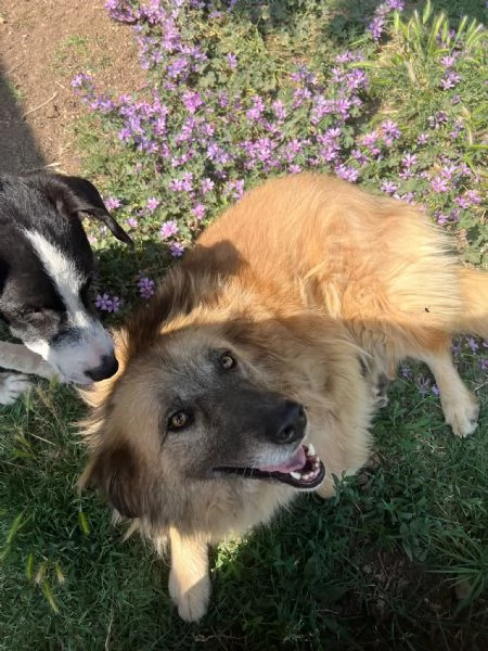 Rony è trasparente, mai 1 chiamata  | Foto 3