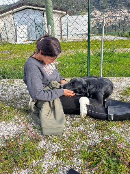 Pako, andate oltre alla sua taglia,&egrave; dolcissimo  | Foto 3