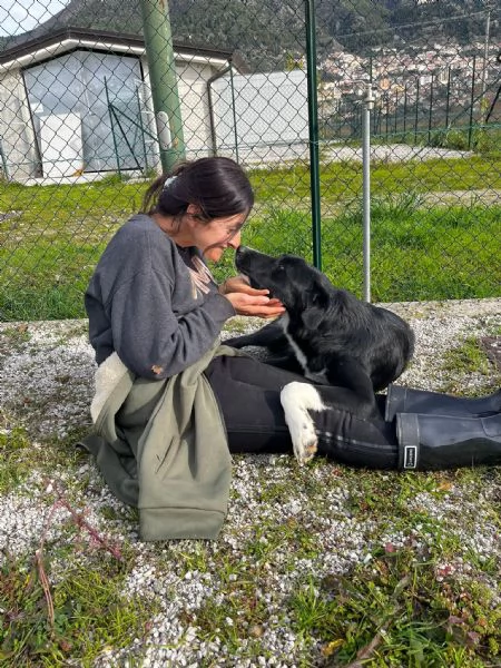 Pako, andate oltre alla sua taglia,&egrave; dolcissimo  | Foto 2