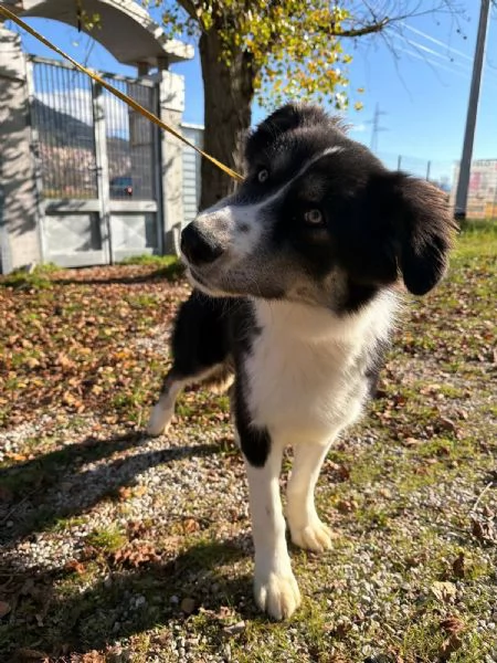 Arya, un capolavoro della natura  | Foto 4