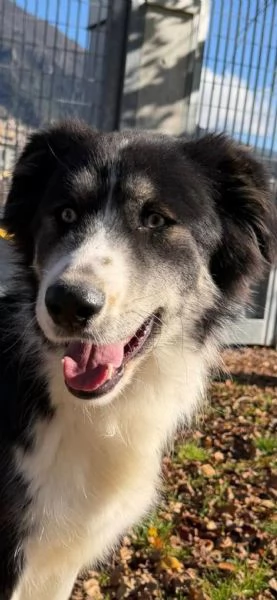 Arya, un capolavoro della natura  | Foto 3