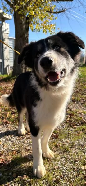 Arya, un capolavoro della natura  | Foto 2