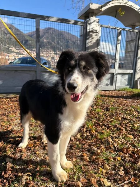 Arya, un capolavoro della natura  | Foto 1