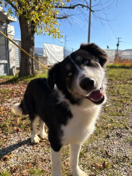 Arya, un capolavoro della natura  | Foto 0