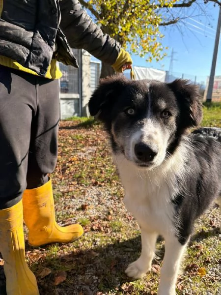 Arya, un capolavoro della natura 