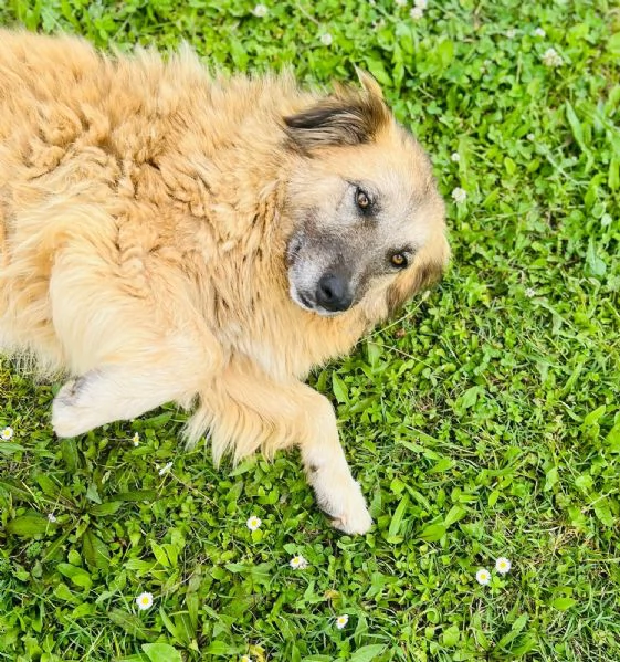 Rony, nessun interesse solo perch&eacute; ha 6 anni  | Foto 2