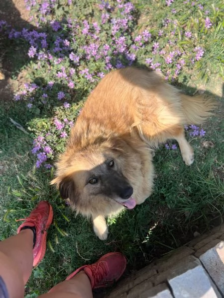 Rony, nessun interesse solo perch&eacute; ha 6 anni  | Foto 1