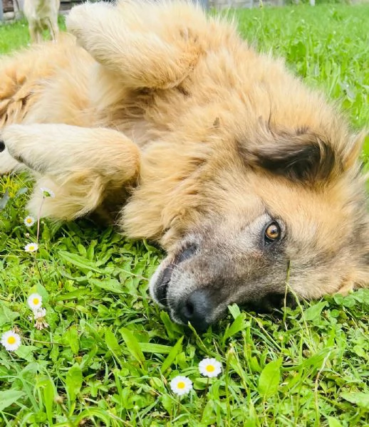 Rony, nessun interesse solo perch&eacute; ha 6 anni 