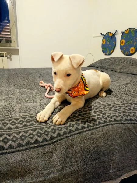 Giorgia un mix strepitoso 