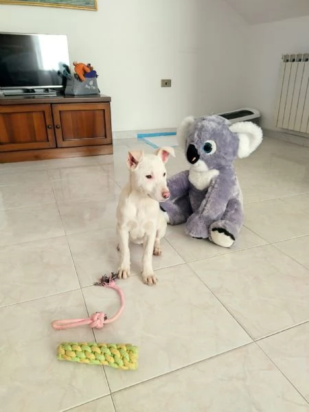 Giorgia un mix strepitoso  | Foto 4