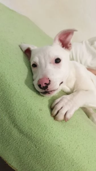 Giorgia aspetta la sua famiglia  | Foto 3