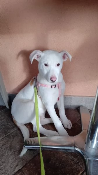 Giorgia aspetta la sua famiglia  | Foto 1