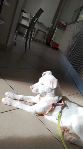 Giorgia aspetta la sua famiglia  | Foto 0