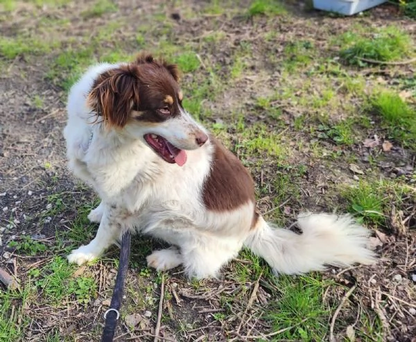 Molly una montagna di zucchero  | Foto 2