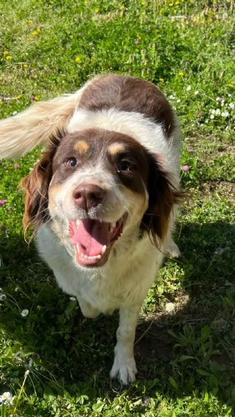 Molly una montagna di zucchero  | Foto 0