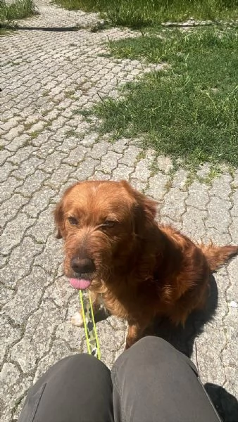 Wally, meravigliosa creatura  | Foto 3