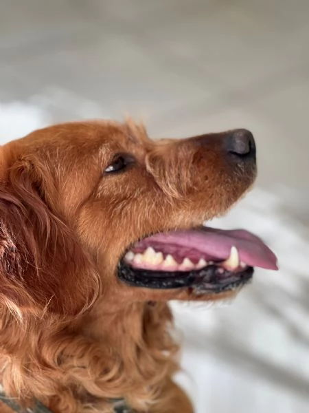 Wally, meravigliosa creatura  | Foto 1
