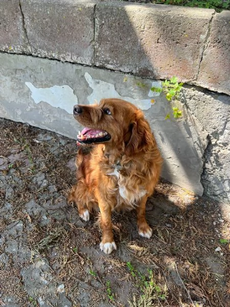 Wally, meravigliosa creatura  | Foto 0
