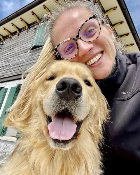 GOLDEN RETRIEVER MASCHIO PER ACCOPPIAMENTO  | Foto 1