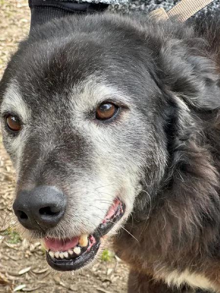 Sorriso 9/10 anni | Foto 4