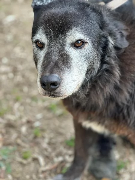 Sorriso 9/10 anni | Foto 3