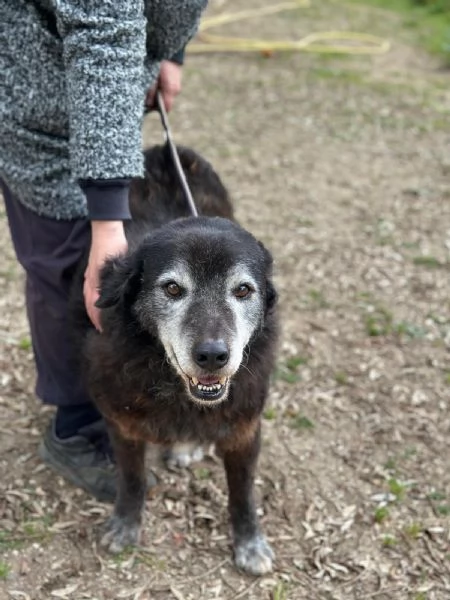 Sorriso 9/10 anni | Foto 1