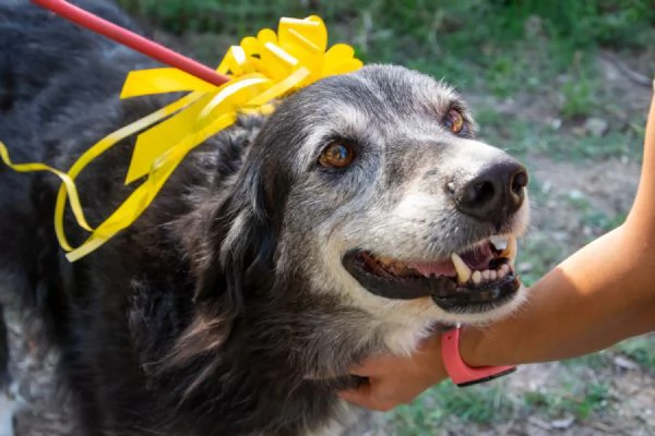 Sorriso 9/10 anni | Foto 0