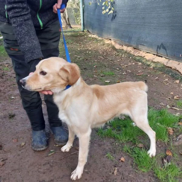 Zip dolcissimo | Foto 1