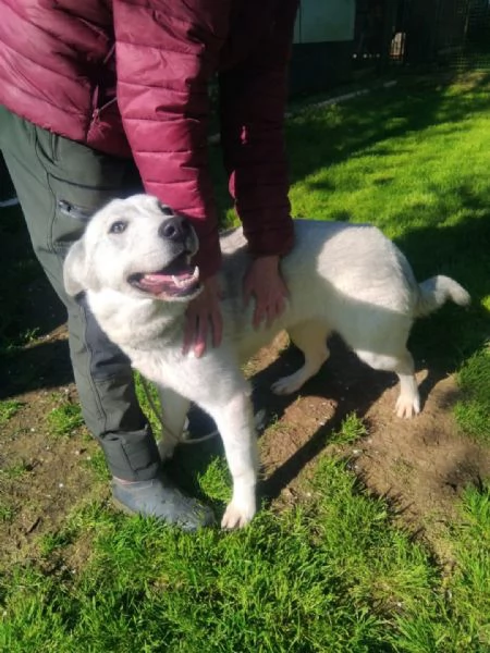 Gemma 2 anni | Foto 0