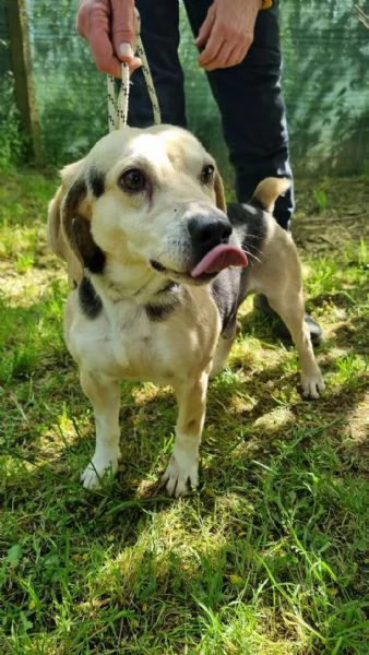 Fernando taglia piccola | Foto 1