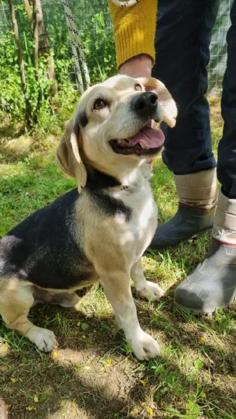 Fernando taglia piccola | Foto 0