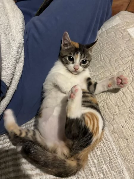 Lisa 3 mesi e mezzo | Foto 2