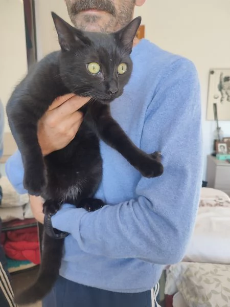 Kelly 5 mesi  | Foto 1