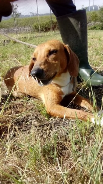 Flop 2 anni  | Foto 2