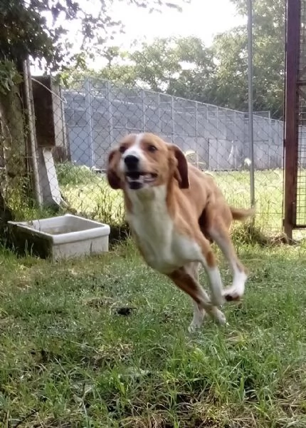 Flip 2 anni  | Foto 3