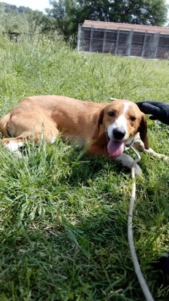 Flip 2 anni  | Foto 2