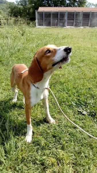 Flip 2 anni  | Foto 1