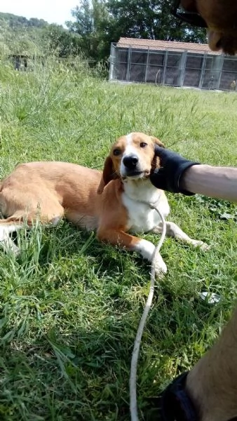 Flip 2 anni  | Foto 0