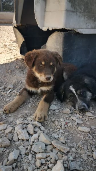 TRE ANNI DIETRO LE SBARRE… PUOI CAMBIARE IL MIO DESTINO? | Foto 4