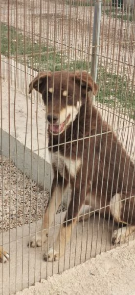 TRE ANNI DIETRO LE SBARRE… PUOI CAMBIARE IL MIO DESTINO? | Foto 3