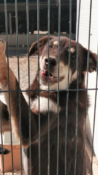 TRE ANNI DIETRO LE SBARRE… PUOI CAMBIARE IL MIO DESTINO? | Foto 2